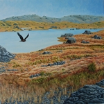 Harrier over Poolburn2
